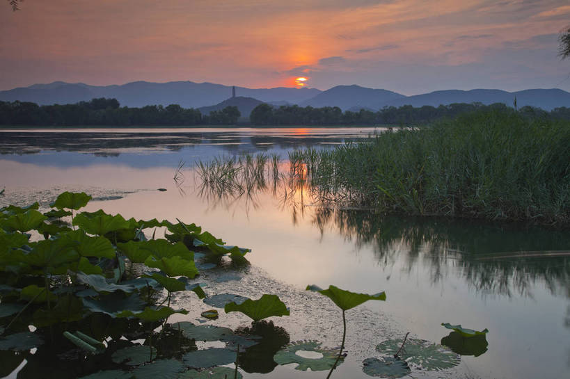 颐和园,横图,彩色,室外,旅游,湖,美景,北京,中国,图片,荷花池,自然,黄昏,旅游胜地,摄影,荷塘,宁静,清新,昆明湖,夕阳,旅行,bj174