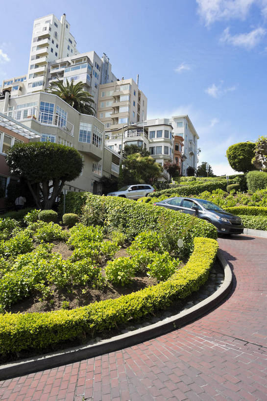 竖图,彩色,室外,白天,旅游,度假,美景,别墅,城市风光,城市,道路,建筑,汽车,美国,房屋,景观,车道,首都,娱乐,白云,风景,蓝天,天空,享受,休闲,景色,放松,人文,摄影,经济,晴天,风光,居住,北美,北美洲,都市风光,加利福尼亚,美洲,外景,发展,旧金山,加州,加利福尼亚州,圣弗朗西斯科,三藩市,金州,黄金州,北亚美利加洲,亚美利加洲,旅行,九曲花街,伦巴底街,美利坚合众国,bj174