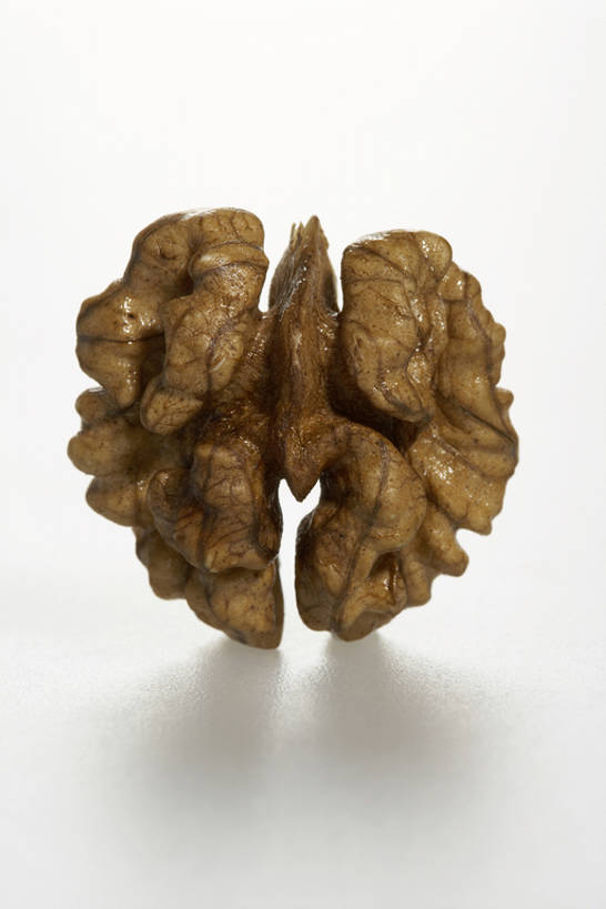 皱纹,无人,竖图,特写,白色背景,农业,静物,水果,曲折,壳,生食,美味,食品,坚果,褐色,小吃,饮食,一个,灰色,自然,干果,打开,摄影,有机食品,单个,简单,开启,清新,蛋白质,健康食物,胡桃,坎坷,崎岖,彩图,影棚拍摄,bj175