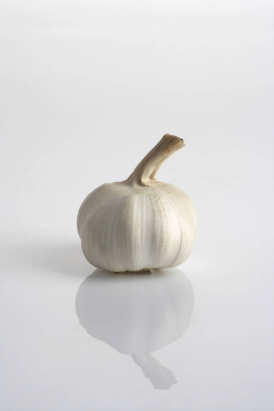 无人,竖图,留白,白色背景,植物,反射,调料,生食,食品,草药,药草,调味品,闻,饮食,中药,一个,白色,自然,精油,香薰,放松,芳香疗法,摄影,有机食品,蒜瓣,单个,简单,清新,药材,中草药,舒心,舒缓,香薰精油,健康食物,养颜,中药材,本草,减压,香薰疗法,植物精油,丁香,大蒜,彩图,影棚拍摄,恶臭,成分,bj175