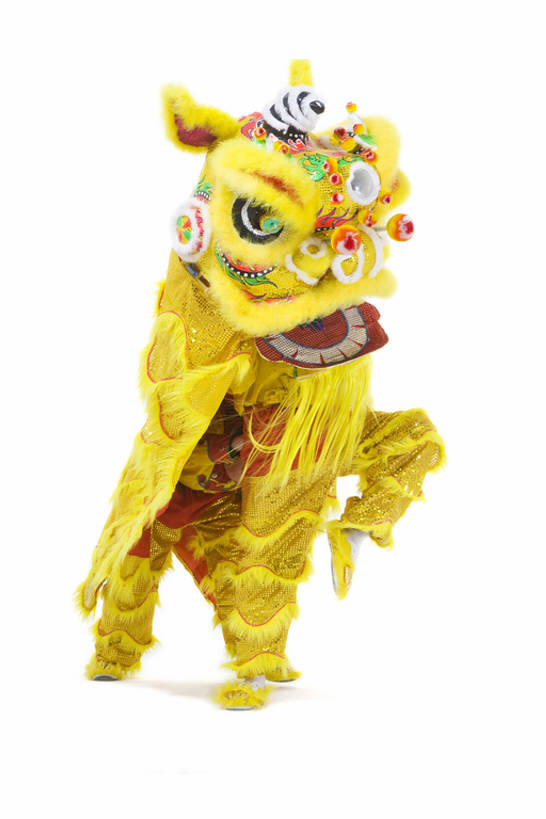 东方人,成年人,两个人,站,微笑,横图,留白,白色背景,正面,快乐,兴奋,运气,骄傲,中国,春节,亚洲,舞狮,表演,咆哮,欢呼,朦胧,模糊,庆祝,表演者,传统,刺激,扮演,黄色,祈祷,站着,张嘴,概念,活力,力量,单腿,动作,演出,享乐,中国文化,亚洲狮,典礼,演出服,张大嘴巴,东亚,东亚文化,鬃毛,北京市,勇气,元旦,技能,男人,男性,年轻男性,亚洲人,中国人,年轻人,张开嘴,站立,彩图,全身,影棚拍摄,传统服装,欢乐,舞蹈,传统文化,传统节日,bj175