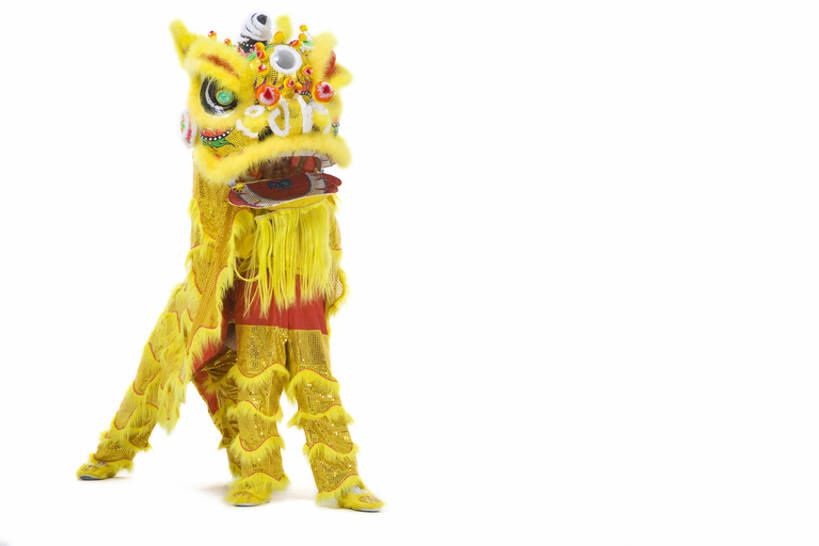 东方人,成年人,两个人,站,横图,留白,白色背景,正面,快乐,兴奋,运气,骄傲,中国,春节,亚洲,舞狮,表演,咆哮,欢呼,朦胧,模糊,庆祝,表演者,传统,刺激,扮演,黄色,祈祷,张嘴,概念,活力,力量,动作,演出,享乐,中国文化,亚洲狮,典礼,演出服,张大嘴巴,东亚,东亚文化,鬃毛,北京市,勇气,元旦,技能,男人,男性,年轻男性,亚洲人,中国人,年轻人,张开嘴,彩图,全身,影棚拍摄,传统服装,欢乐,舞蹈,传统文化,传统节日,bj175
