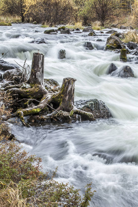 无人,竖图,室外,白天,长时间曝光,旅游,度假,河流,石头,美景,水,植物,中国,亚洲,景观,流水,树桩,苔藓,河床,娱乐,草,树,黄色,小溪,自然,波浪,享受,休闲,景色,放松,季节,摄影,流动,宁静,环境,清新,自然风光,东亚,内蒙古,自然地理,岩石,秋天,彩图,旅行,阿尔山,bj175