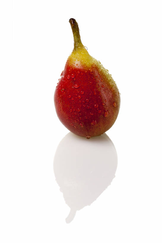 无人,竖图,室内,留白,白色背景,正面,梨,静物,水果,湿,反射,液体,水滴,食品,茎,干净,饮食,一个,白色,成熟,摄影,影棚,单个,简单,清新,摄影棚,健康食物,纯净,彩图,全身,影棚拍摄,拍摄,亚洲梨,bj175