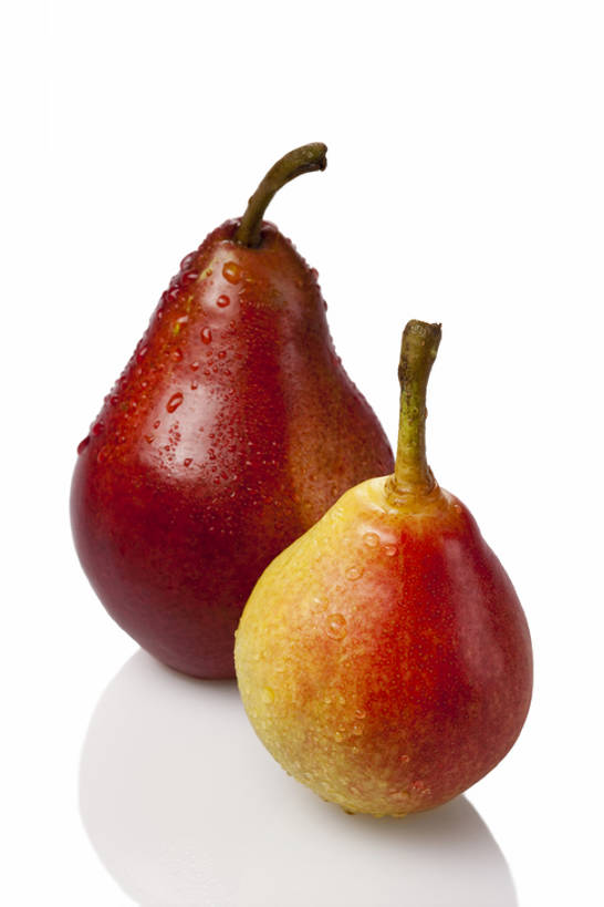 无人,竖图,室内,白色背景,正面,梨,静物,水果,湿,反射,液体,水滴,食品,茎,干净,饮食,两个,白色,成熟,摄影,影棚,简单,清新,摄影棚,健康食物,纯净,彩图,全身,影棚拍摄,拍摄,亚洲梨,bj175