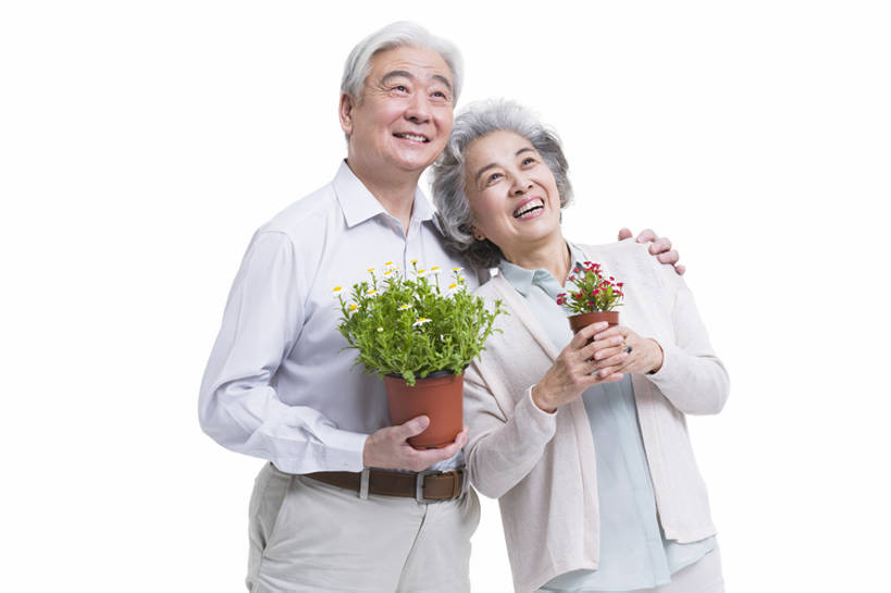 东方人,成年人,老年人,两个人,丈夫,妻子,笑,微笑,露齿笑,横图,留白,抠图,白色背景,正面,快乐,幸福,植物,花盆,雕塑,北京,中国,亚洲,握,艺术,装饰,雕刻,雕像,盆栽,盆景,注视,休闲装,绿色,自然,工艺品,观察,看,向上看,站着,休闲,健康,活力,亲密,搭,握着,摄影,生长,生活方式,成长,观看,纪念,希望,美术,察看,退休,享乐,搭着,关爱,关注,清新,主题,肖像,陈列,东亚,陪同,环境保护,功能,美学,陪伴,老年男性,老年女性,男人,男性,女人,女性,亚洲人,中国人,情侣,半身,彩图,影棚拍摄,爱,欢乐,人老心不老,伴随,bj175