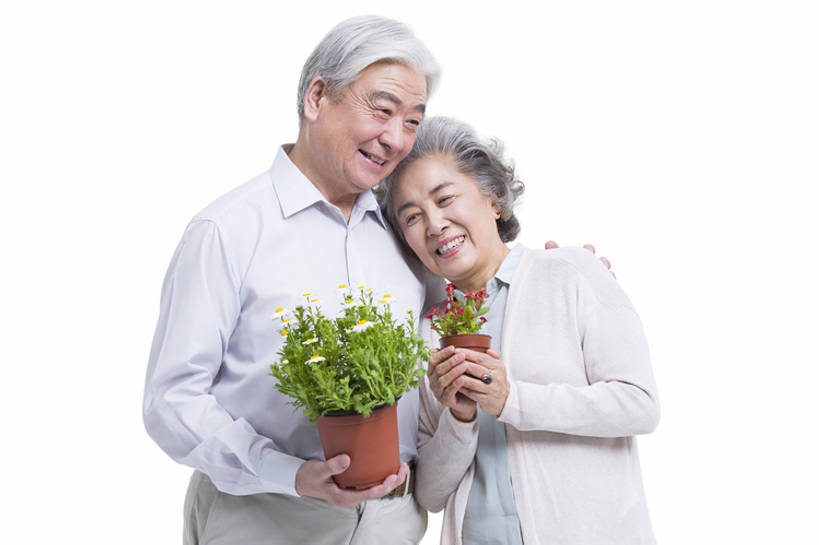 东方人,成年人,老年人,两个人,丈夫,妻子,笑,微笑,露齿笑,横图,留白,抠图,白色背景,正面,快乐,幸福,植物,花盆,雕塑,北京,中国,亚洲,握,艺术,装饰,雕刻,雕像,盆栽,盆景,休闲装,绿色,自然,工艺品,站着,休闲,健康,活力,亲密,搭,握着,摄影,生长,生活方式,成长,纪念,希望,美术,退休,享乐,搭着,关爱,清新,主题,肖像,陈列,东亚,陪同,环境保护,功能,美学,陪伴,老年男性,老年女性,男人,男性,女人,女性,亚洲人,中国人,情侣,半身,彩图,影棚拍摄,爱,欢乐,人老心不老,伴随,bj175