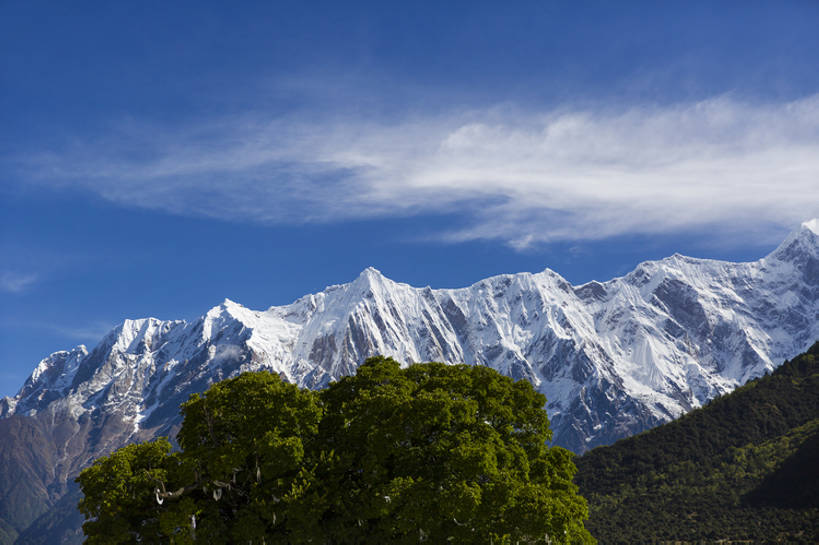 无人,横图,室外,白天,旅游,度假,美景,山,山脉,雪,雪山,植物,中国,亚洲,曲折,地形,景观,山顶,山坡,云,娱乐,林芝,西藏,树,蓝色,绿色,风景,天空,自然,享受,休闲,陡峭,景色,放松,摄影,宁静,环境,山脊,自然风光,东亚,西藏自治区,地貌,青藏高原,坎坷,崎岖,地质学,自然地理,彩图,旅行,bj175