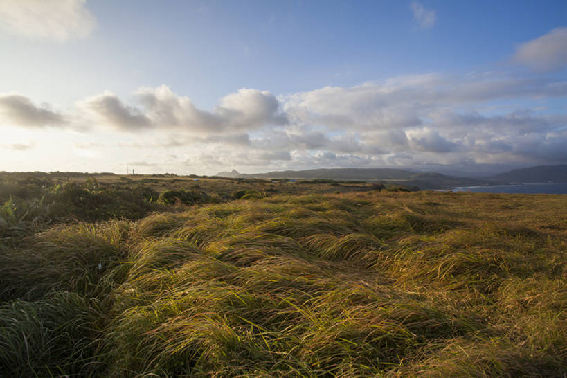 无人,公园,横图,室外,白天,旅游,度假,美景,植物,台湾,日光,中国,亚洲,岛,地平线,海岸线,景观,云,云层,娱乐,草,蓝色,绿色,风景,天空,自然,享受,休闲,景色,放松,茂密,摄影,茂盛,生长,宁静,环境,生态,国家公园,自然风光,东亚,湿地公园,台南,自然保护区,自然地理,彩图,旅行,恒春半岛,广角,垦丁,bj175