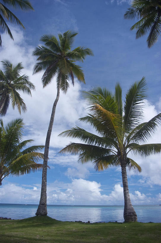 白天,旅游,度假,海洋,棕榈树,密克罗尼西亚,亚洲,地形,云,娱乐,风景,天空,享受,休闲,放松,热带气候,海滩,椰子树,彩图,沙岛,bj175