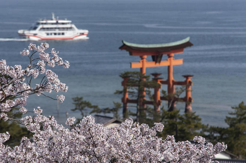 无人,横图,室外,白天,旅游,度假,海洋,美景,名胜古迹,樱花,日本,行人,游客,游人,鸟居,地形,景观,牌坊,娱乐,路人,旅客,花,风景,天空,自然,春天,享受,休闲,景色,放松,摄影,宁静,神殿,自然风光,拜访,观光船,广岛,过客,彩图,旅行,宫屿,bj175