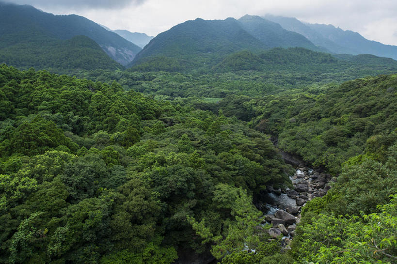 无人,横图,室外,白天,河流,森林,山,日本,地形,世界遗产,风景,自然,鹿儿岛县,联合国教科文组织,bj175