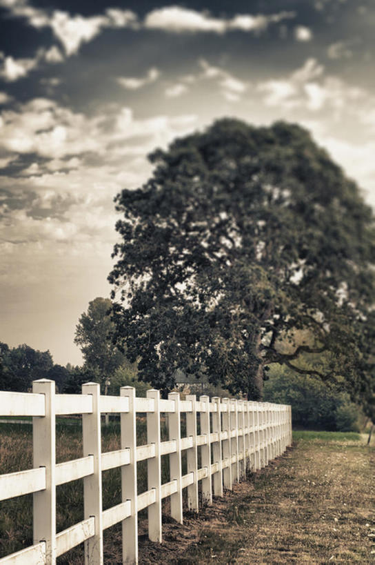 无人,竖图,室外,白天,美景,道路,路,公路,美国,栅栏,景观,篱笆,乡村,小路,交通,方向,草,天空,自然,黄昏,景色,摄影,宁静,清新,自然风光,奥勒冈,马路,彩图,bj175