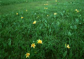 tkf001_107139