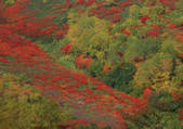 tkf001_123068