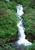 tkf001_123527
