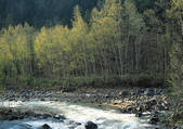 tkf001_123695