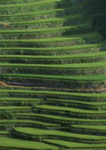 tkf001_137042