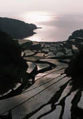 tkf001_137664
