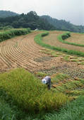 tkf001_137789