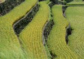 tkf001_137791