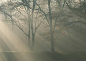tkf001_139467