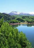 tkf001_150525