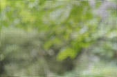 tkf001_179369