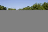 tkf001_302109
