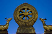 tkf001_304544