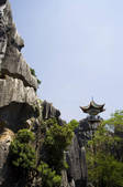 tkf001_308984