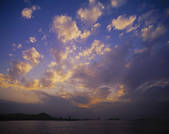 tkf001_309127