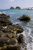 tkf001_311980