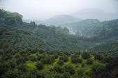 tkf001_315420