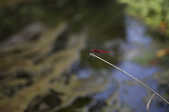 tkf001_395604