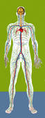 tkf001_402688