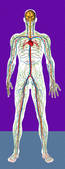 tkf001_402690