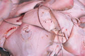 tkf001_764301