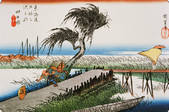 tkf001_781955