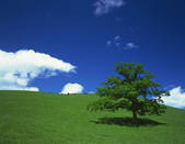 tkf001_790404