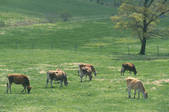 tkf001_790462