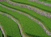 tkf001_790756