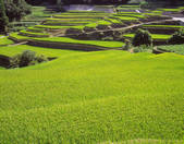 tkf001_790758