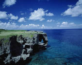 tkf001_792566