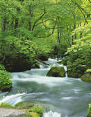 tkf001_793455
