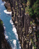 tkf001_793568