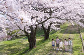 tkf001_796552