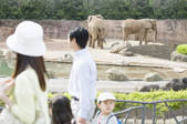 tkf001_796799
