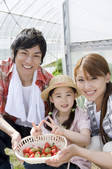 tkf001_796803