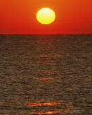 tkf001_797276